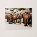 Recherche de cheval puzzles Beaux chevaux