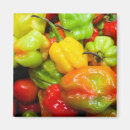 Recherche de chili magnets Coloré