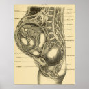 Recherche de scientific posters Illustration