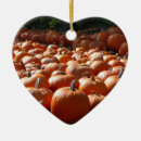 Recherche de citrouille halloween ornements Orange