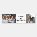 Recherche de la bretagne voiture autocollants Chien