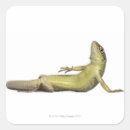 Recherche de blooded autocollants Faune