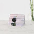 Recherche de aigle photographie Faune