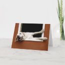 Recherche de labrador jaune vœux cartes Humour