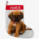 Recherche de magie chaussette de noël Chien