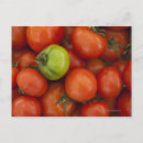 Recherche de tomates cartes postales Italie