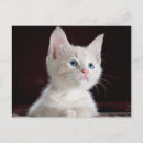 Recherche de do it yourself cartes postales Personnalisée