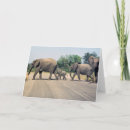 Recherche de sud africain vœux cartes Safari