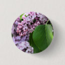 Recherche de fleurs lilas badges Ressort