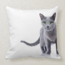 Recherche de chat bleu russe coussins Félin