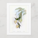 Recherche de de colibri cartes postales Illustration