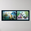 Recherche de cichlids posters Eau