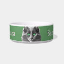 Recherche de race de chat Pour animaux