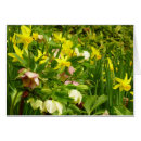 Recherche de lentille vœux cartes Fleur