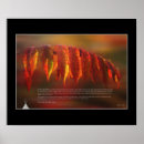 Recherche de lakota posters Indienne