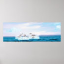Recherche de peinture de dauphin posters Dauphins