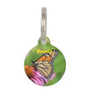 Recherche de insecte animaux articles Papillon