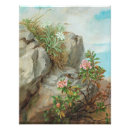 Recherche de fleurs de montagne posters Vintage