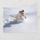 Recherche de neige profonde cartes postales Hiver
