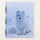 Recherche de renard arctique bureau fournitures Animaux