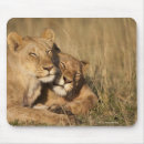 Recherche de animal zoo tapis souris L'afrique