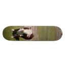 Recherche de beau skateboards Animal