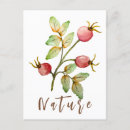 Recherche de hanche cartes postales Nature