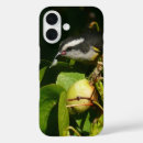 Recherche de birds iphone coques Photographie