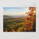 Recherche de ann cartes postales Forêt