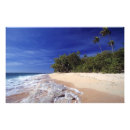 Recherche de fidji art Vacances