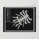 Recherche de cétacé cartes postales Illustration