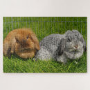 Recherche de mini puzzles Animal