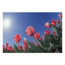 Recherche de vers le bas posters Soleil