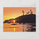 Recherche de parc aquatique cartes postales Silhouette