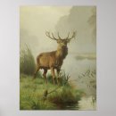 Recherche de animaux sauvages vintages posters Cerf