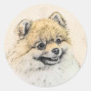 Recherche de spitz autocollants Pomérien