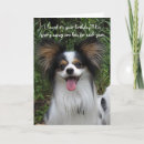 Recherche de chien papillon vœux cartes Vous