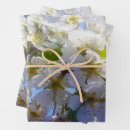Recherche de poirier papier cadeau Poire