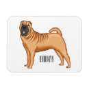 Recherche de chinois magnets Shar pei