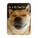 Recherche de japanese magnets Toute personne