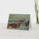Recherche de welker Wapiti