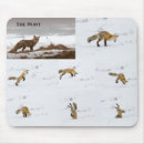 Recherche de renard rouge tapis souris Ordinateur