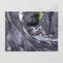 Recherche de figuier cartes postales Nature