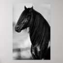 Recherche de studies posters Cheval