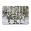 Recherche de équestre vœux cartes Neige