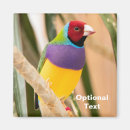 Recherche de oiseau exotique magnets Animal