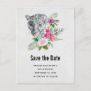 Recherche de grands chats cartes postales Animal sauvage