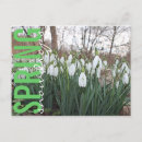 Recherche de goûter cartes postales Floral