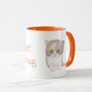 Recherche de kat tasses Chaton