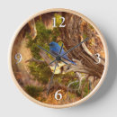 Recherche de ornithologique horloges Toute personne